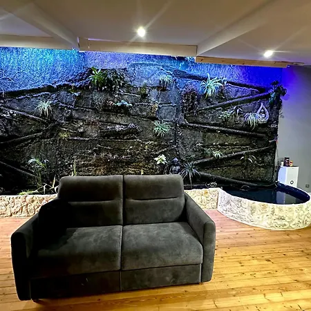 Апартаменты Jungle *