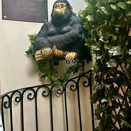 Jungle Апартаменты *