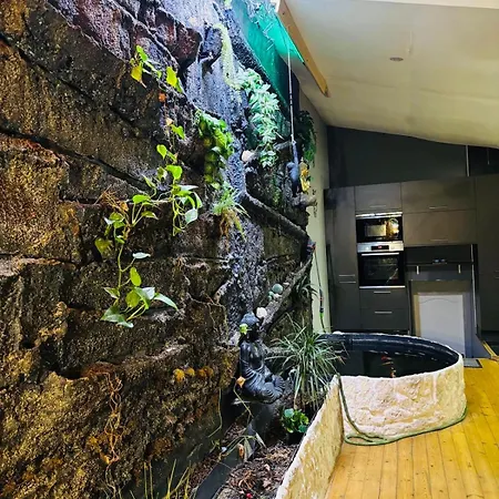 Jungle Appartement *
