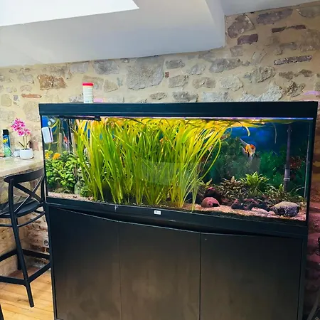 Jungle Fumel