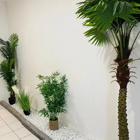 Διαμέρισμα Jungle *