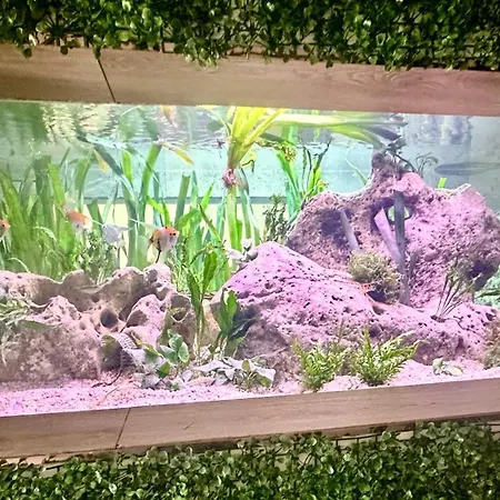 Jungle * Fumel